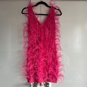 Hot pink feather & rhinestone dress